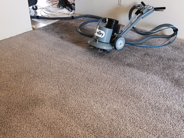 Capture Dry Carpet Cleaner 8 LB at
